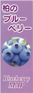 pamphlet-blueberry